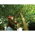 Kép 4/6 - Black+Decker 800 W 25 cm magassági ágazófűrész (PS7525)